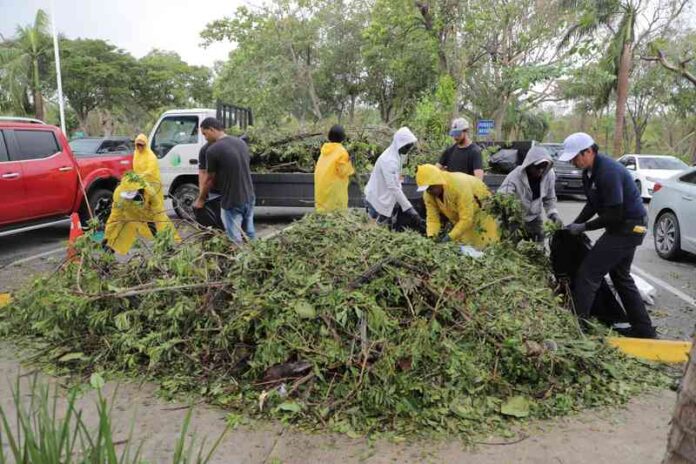 Brigada de Limpieza en Puntacana Village (1)
