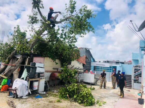 ayuda damnificados Fiona