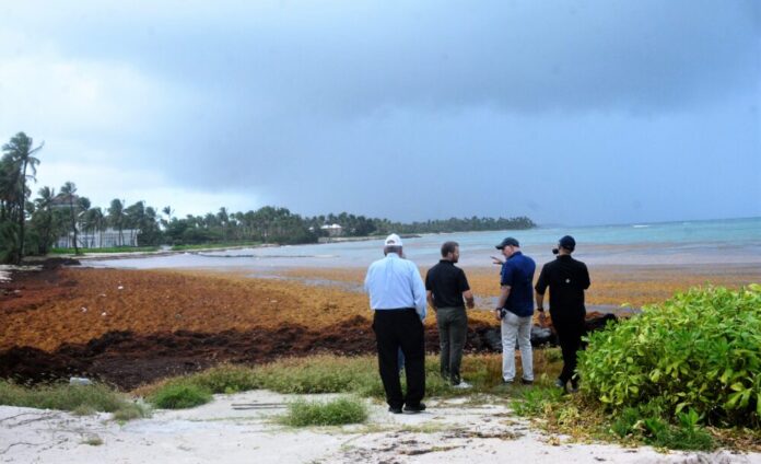 investigadores Dominicanos