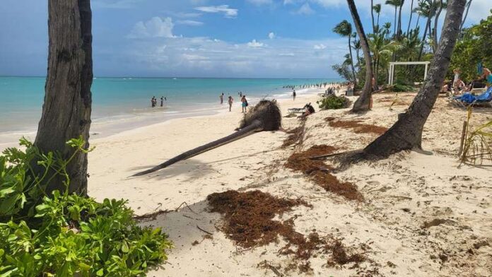 Palladium Hotel group se recupera tras paso de Fiona