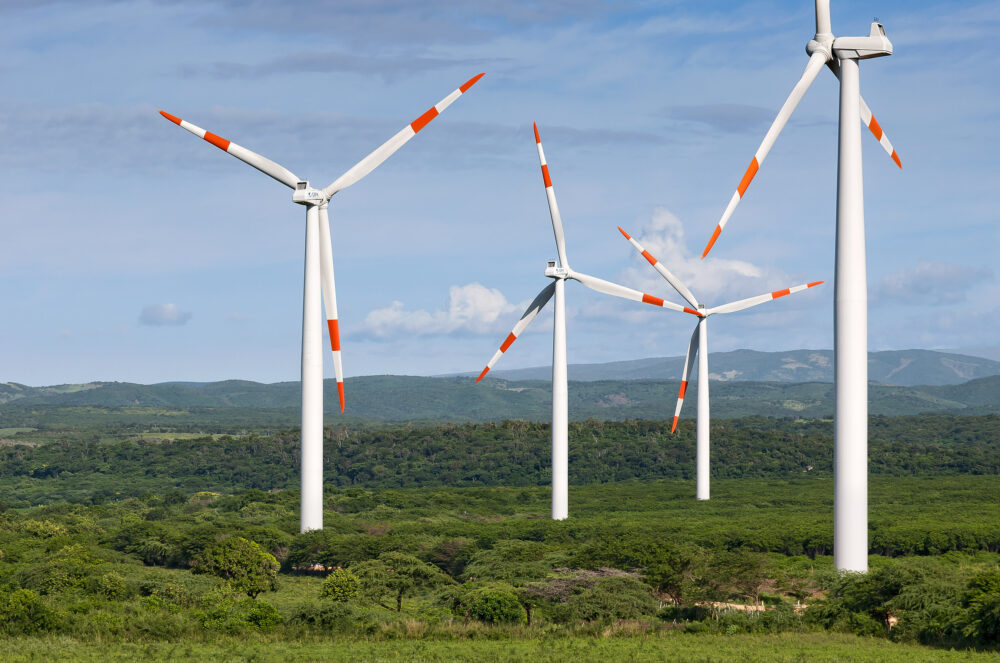 CEPM presenta en Fitur sus avances hacia las cero emisiones, con foco en Isla Saona y movilidad eléctrica - Online Plus 2