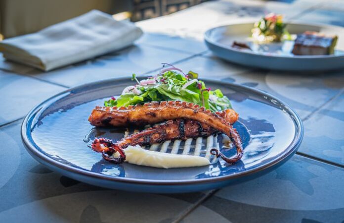 Festival Food & Wine