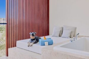 Dog Friendly Hotels & Resorts