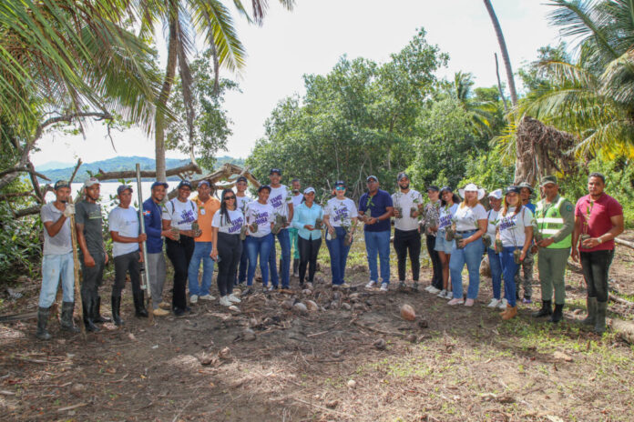 reforestación en Laguna Redonda