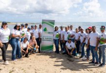 Hodelpa Hospitality realiza jornada de limpieza de playa en Puerto Plata