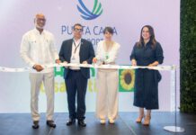 Aeropuerto de Punta Cana primer aeropuerto en RD en incorporar programa Hidden Disabilities Sunflower