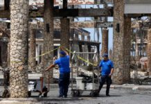 Viva Wyndham Dominicus Beach permanecerá cerrado de forma indefinida tras el devastador incendio en Bayahibe